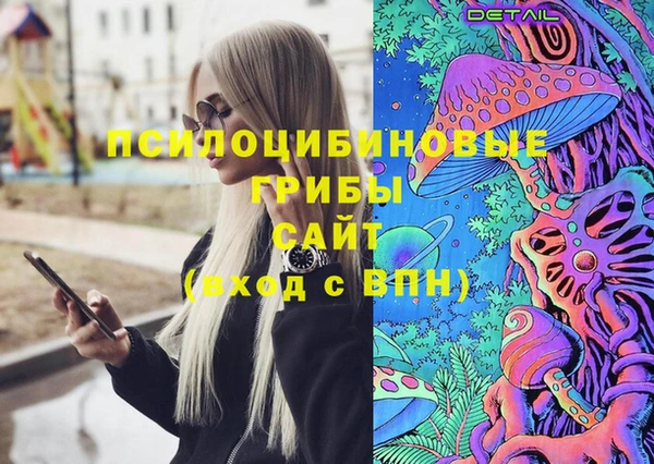 спиды Алексеевка