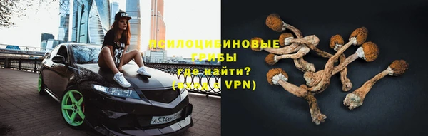 спиды Алексеевка