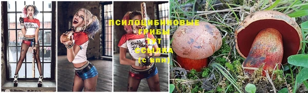 спиды Алексеевка