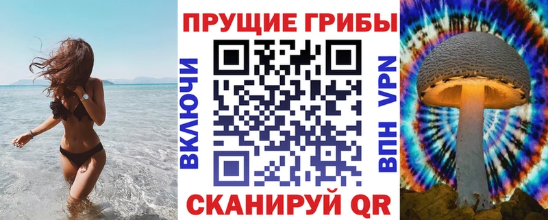 Псилоцибиновые грибы GOLDEN TEACHER  купить наркоту  Тольятти 